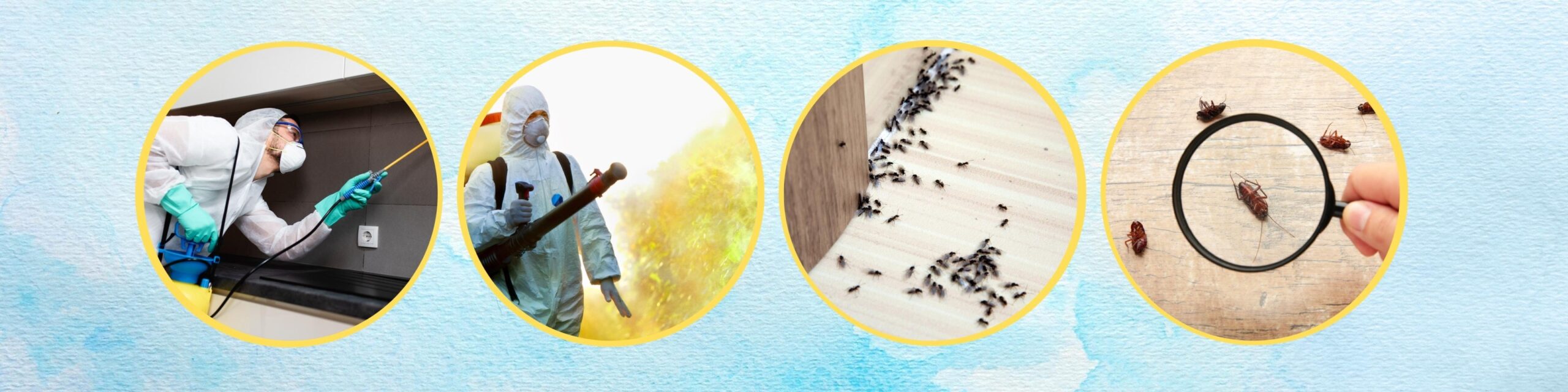 Pest Control (4) (1)